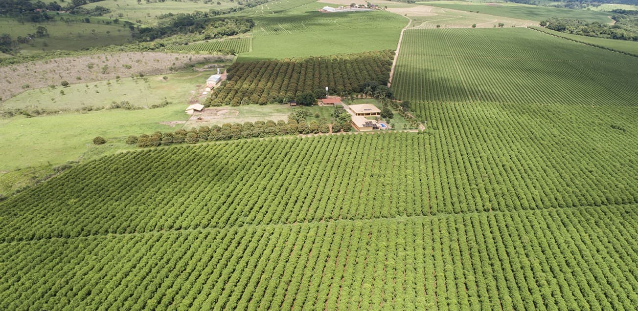 Fazenda de Café
